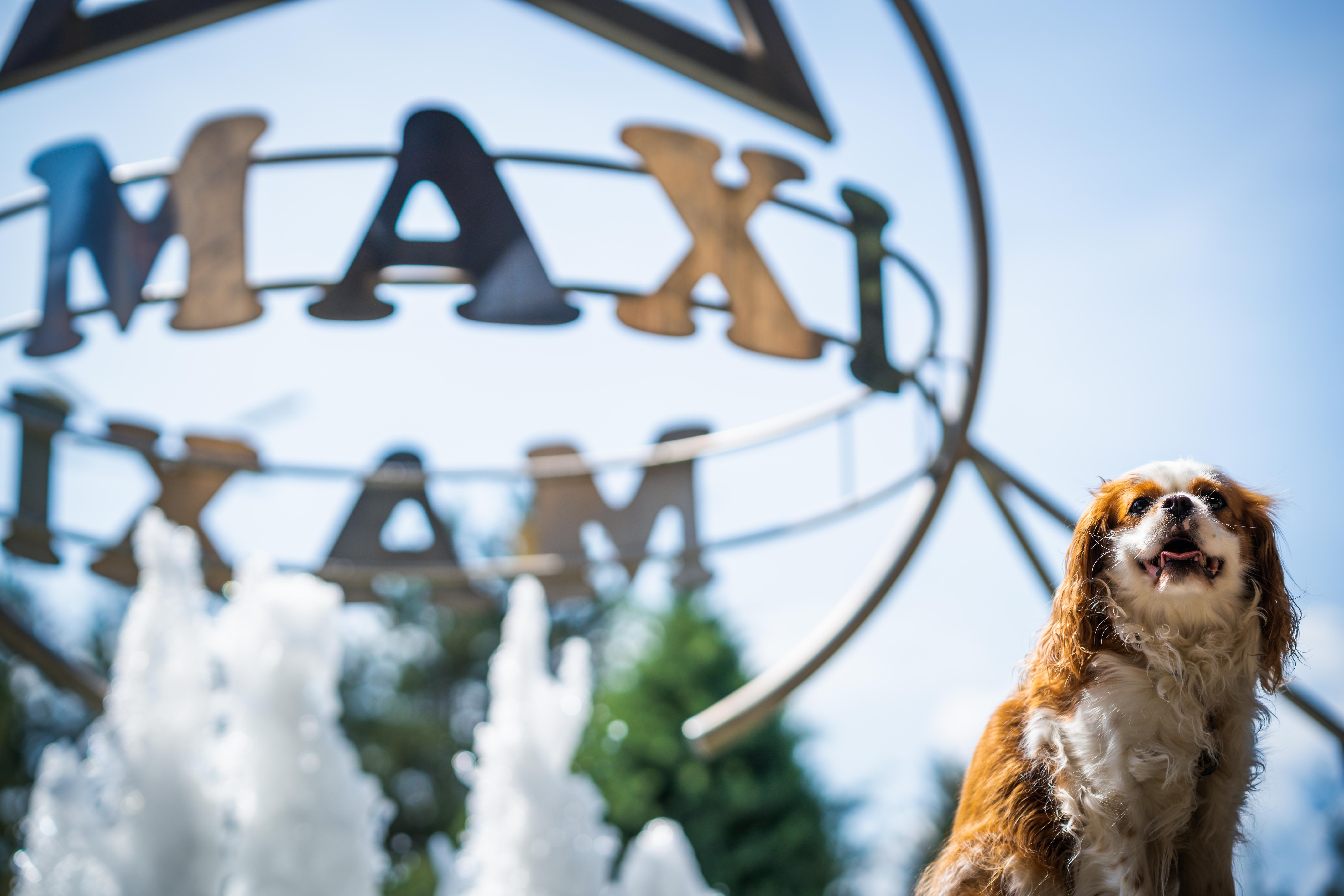 Maxi Park Hotel & Spa Velingrad Exterior foto